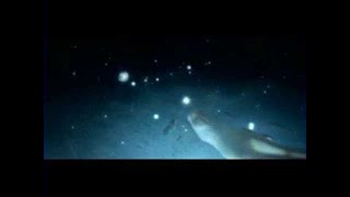 Клип Bjork - Desired Constellation