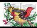 The Urantia Book - Criticism The Urantia Book - Criticism
