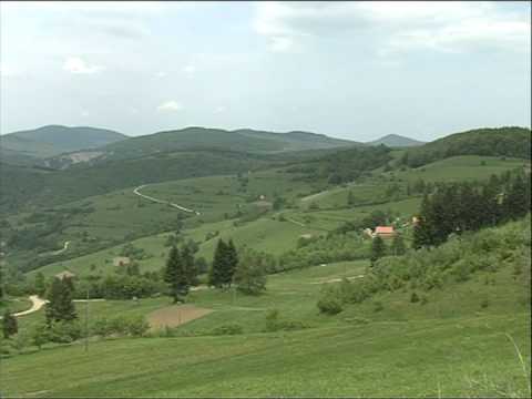 Watch Zmijanje No1 - OJ, ZMIJANJE
