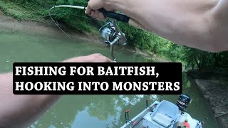 What a Fun and Frustrating Evening of Fishing!