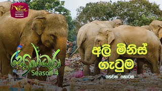 Sobadhara - Sri Lanka Wildlife Documentary | 2021-12-10 | Elephant vs Man  - 3