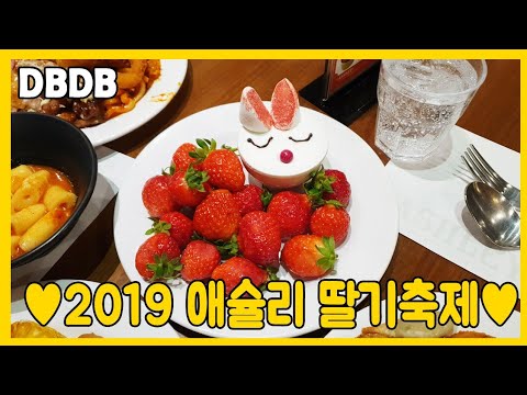 ์ ์๋ฆฌ ๋ธ๊ธฐ์ถ์ 2019 ํ์ผ๋ฐ์น ๋จน๋ฐฉ ์์งํ ํ๊ธฐ