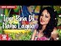 Teri Pyari Pyari Do Akhiyan - Tere Bina Dil Nahio Lagna - Tiktok Famous Song | Valentines Special