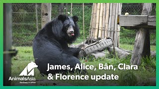 James, Alice, Bân, Clara and Florence are out of quarantine