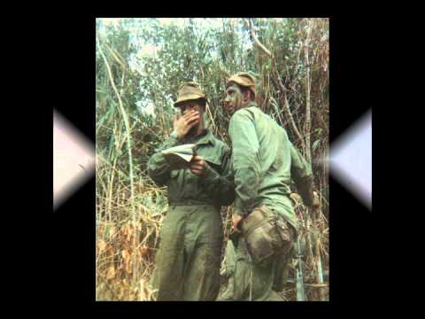 3rd Force Recon Vietnam 67-68.wmv