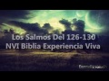 26 Salmos 126 30 Nvi Biblia Experiencia Viva