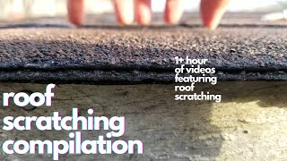 Roof Scratching Compilation - 1 Hour Asmr Outdoors, Nature Sounds, Screen Taps, Build Up, Tracing