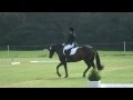 Pallas Bumble Dressage