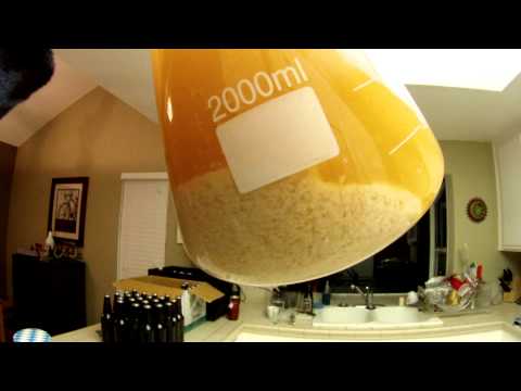 absolut vodka drink recipes