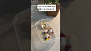 Bu Fikir Işinize Çok Yarayacak
