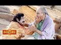 Paandurangadu Movie - Matrudevobhava Video Song - Bala Krishna, Sneha