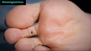 Aiminigiantess On Top Of Ginats Toes