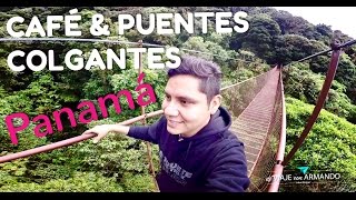 PUENTES COLGANTES Y CAFÉ, QUÉ HACER EN CHIRIQUÍ ︱ Panamá 🇵🇦 ︱Parte 3 de 4 ︱ De Viaje con Armando