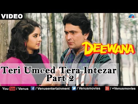 Teri Umeed Tera Intezar - Part 2 (Deewana)