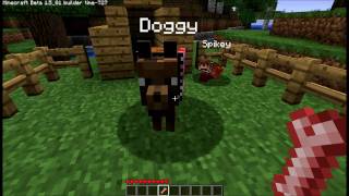 Minecraft, wolves, wolf, dog, collar, name, clothing, breeding, puppy, bones, backpack