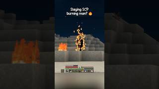 Minecraft Slaying Scp-457 Burning Man?
