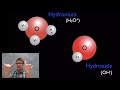 Acids, Bases, and pH