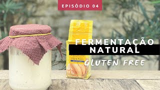 Fermentação Natural x Fermento Biológico: como substituir?