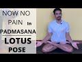 No more pain in padmasana | how to do padmasana | lotus pose step by step step | correction of asana