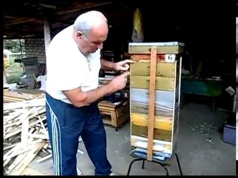 Альпийский улей сделать своими руками Альпийский улей сделать своими руками