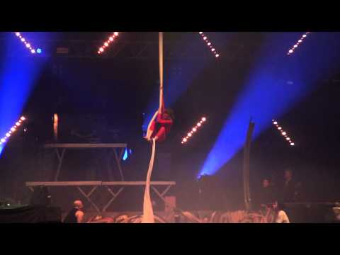 Lunatic Asylum Video