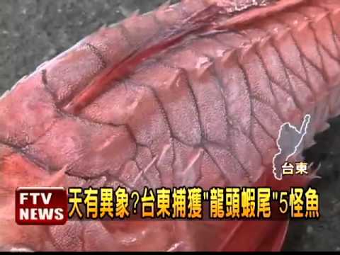 Ranker Video