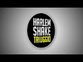 HARLEM SHAKE from TRIUGGIO