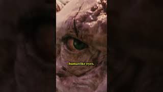 The Origin Of The Gulper