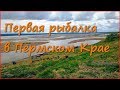 Спиннинг вместо донки, кусок хлеба для плотвы и первый улов в Пермском Крае. Спиннинг вместо донки, кусок хлеба для плотвы и первый улов в Пермском Крае.