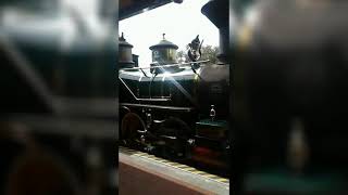 Mitchells Magical Moments Official Channel For The Disney Park