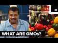 What are GMOs