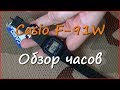 Наручные часы Casio F-91W Наручные часы Casio F-91W