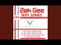 Beat Junkies (Zak Gee - Original Mojo Mix)