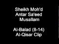 Sheikh Muhammed Antar Sa'eed Musallam Surah Al-Balad (8-14) Al-Qisar Clip