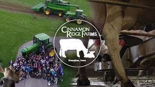 The Robotic Dairy that has Mastered Farm Tourism