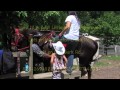 End of Trail Horseback Riding, Cherokee NC