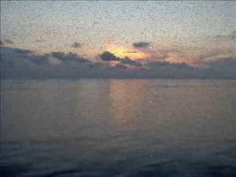 Never Say Forever Video