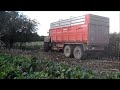 ensilage