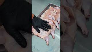 Jojalar Olamiga Sayohat