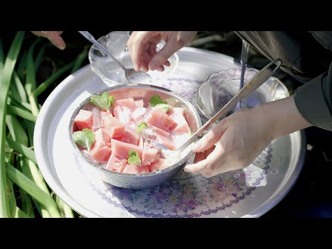 여름아 부탁해 🍉