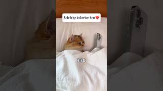 Günaydın