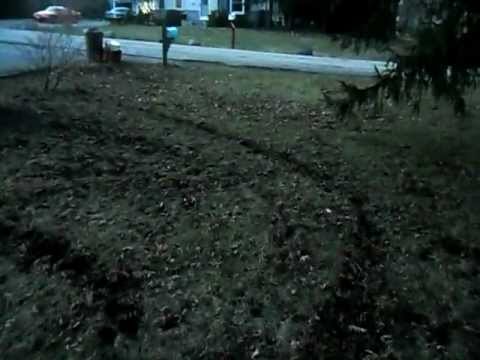 get rid ground bees