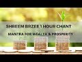 Shreem Brzee Mantra 1 Hour Chant | Mantra For Wealth Consciousness | Pillai Center