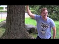 Wild Animal Wrangling & Racing - Sphero Ollie