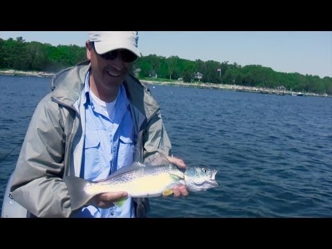 Saltwater Fishing Tips for Bluefish and Weakfish - Jigging with the Only Jig that Flexes Hello Folks This Week We 39 Re Coming At You From...