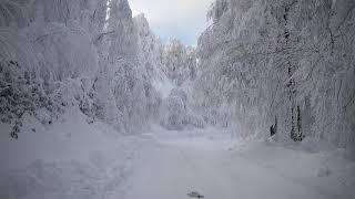 Kartepe kuzu yayla yolundan kar manzaraları ( 1080p 60fps ) wonderful snow lands