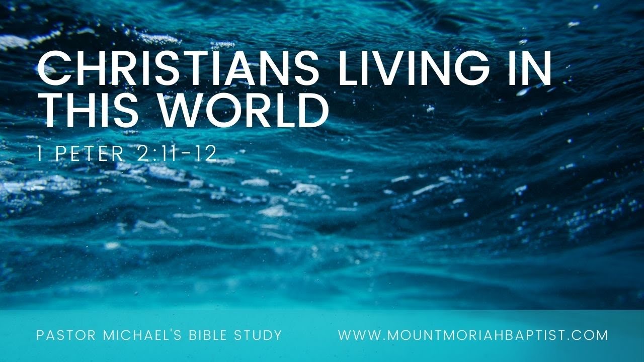1 Peter 2:11-12 | Christians Living in this World | Dec 6, 2020 | Pastor Michael