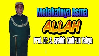 Prof. Dr. H. S.S. Kadirun Yahya MA. M.Sc