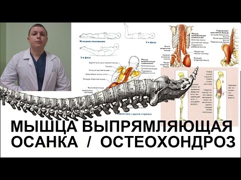 Лечение заболевания суставов рук - воспаления суставов кисти Лечение боли в