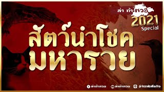 ล่าท้าหวย Special : สัตว์นำโชคมหารวย